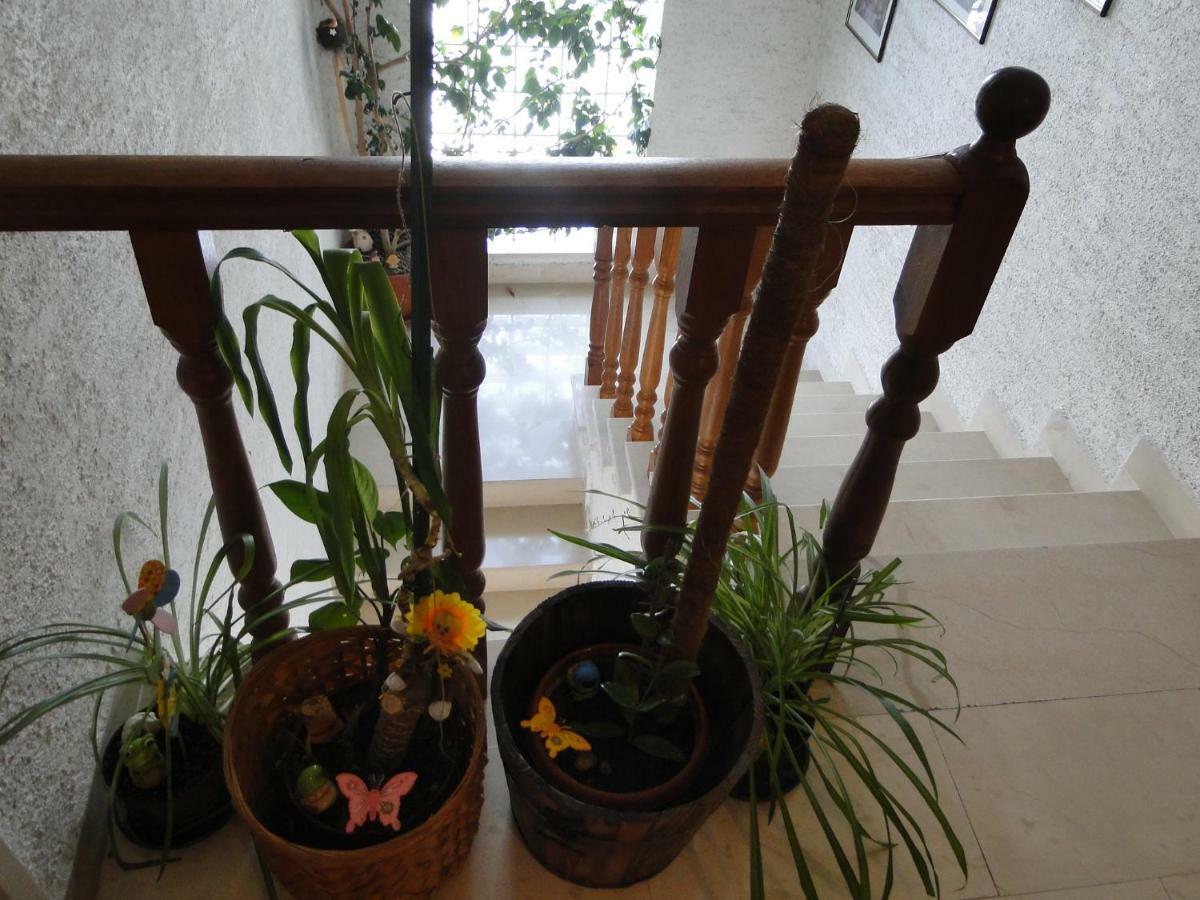 Radojka Hotel Primosten Ngoại thất bức ảnh